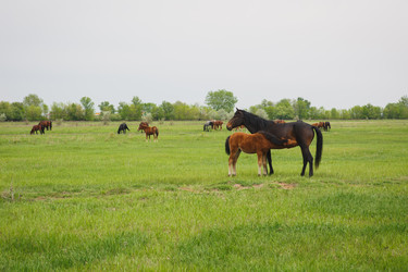 Similar image 11492932