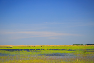 Similar image 11492869