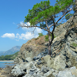 Similar image 11474791