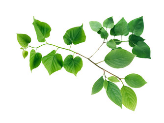 Similar image 11474831