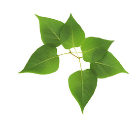 Similar image 11474833