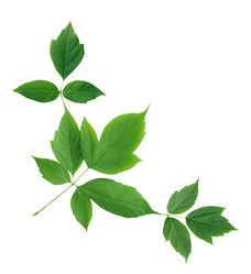 Similar image 11474834