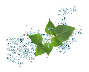 Similar image 11474836