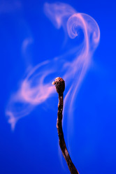 Similar image 11474837