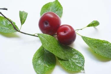 Similar image 11474800