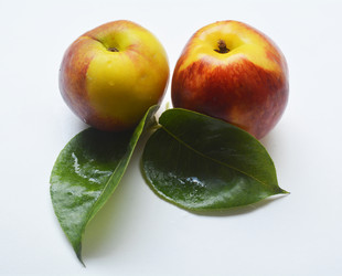 Similar image 11474764