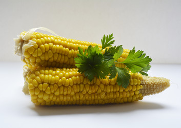 Similar image 11474781