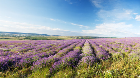 Similar image 11474955