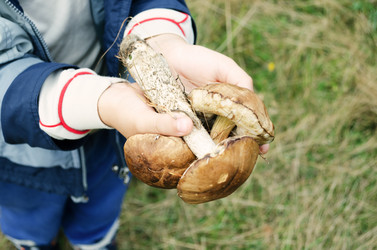 Similar image 11474958