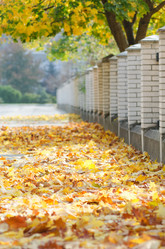 Similar image 11474961