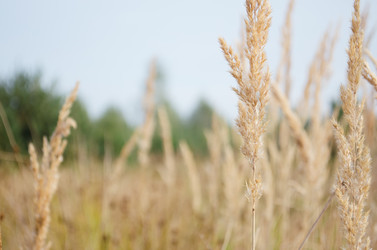 Similar image 11475072