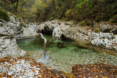 Similar image 11477405