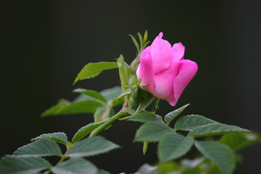 Similar image 11474943