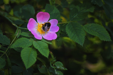 Similar image 11474944