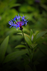 Similar image 11474945