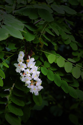 Similar image 11474946