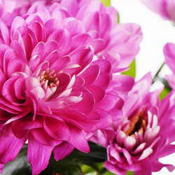 Similar image 11475229