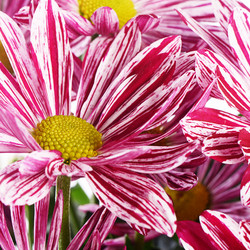 Similar image 11475231