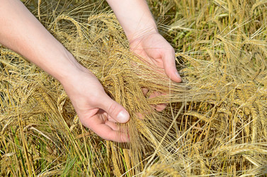 Similar image 11475235