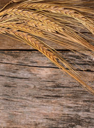 Similar image 11475249