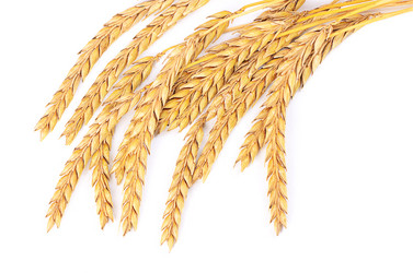 Similar image 11475251