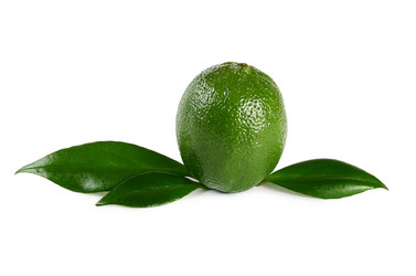 Similar image 11475189