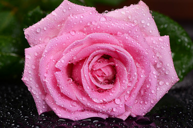 Similar image 11475201