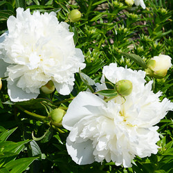 Similar image 11475206