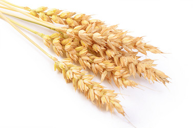 Similar image 11475222