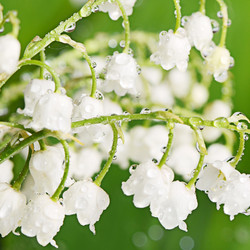 Similar image 11475264