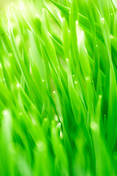 Similar image 11489002