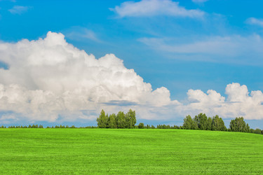 Similar image 11474925