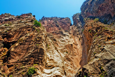 Similar image 11474948