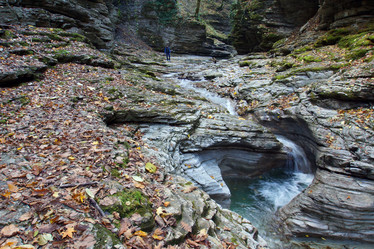 Similar image 11477406