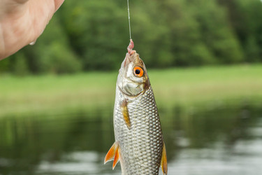 Similar image 11477486