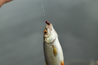 Similar image 11477487