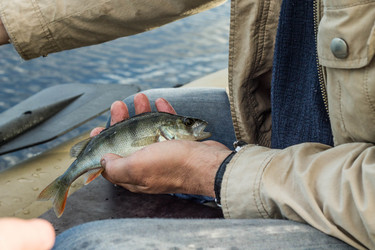 Similar image 11477513