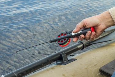 Similar image 11477514