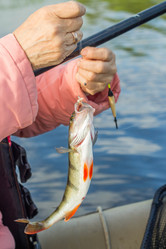 Similar image 11477519