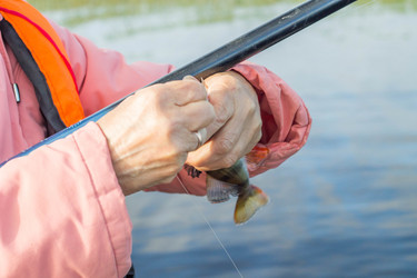 Similar image 11477521