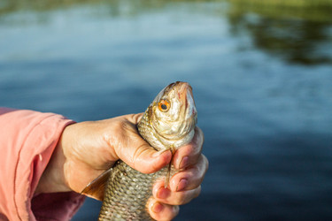 Similar image 11477525