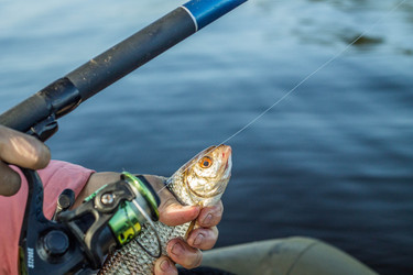 Similar image 11477555