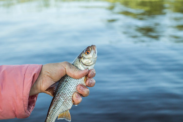 Similar image 11477564