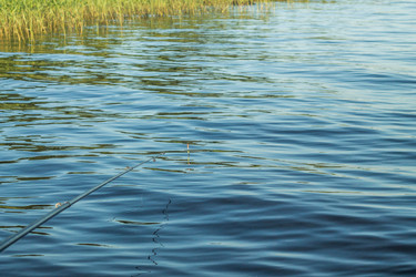 Similar image 11477565