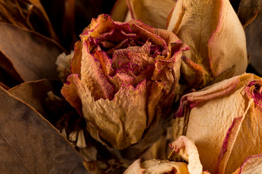 Similar image 11476543