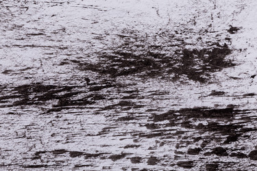 Similar image 11476451