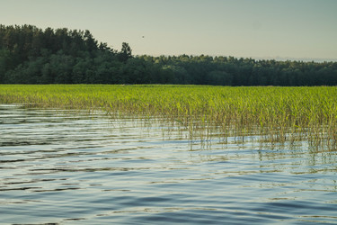 Similar image 11477488