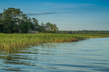 Similar image 11477489