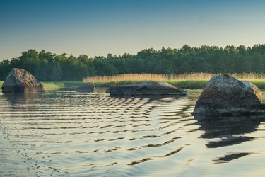 Similar image 11477491