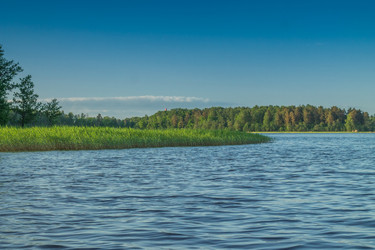 Similar image 11477494